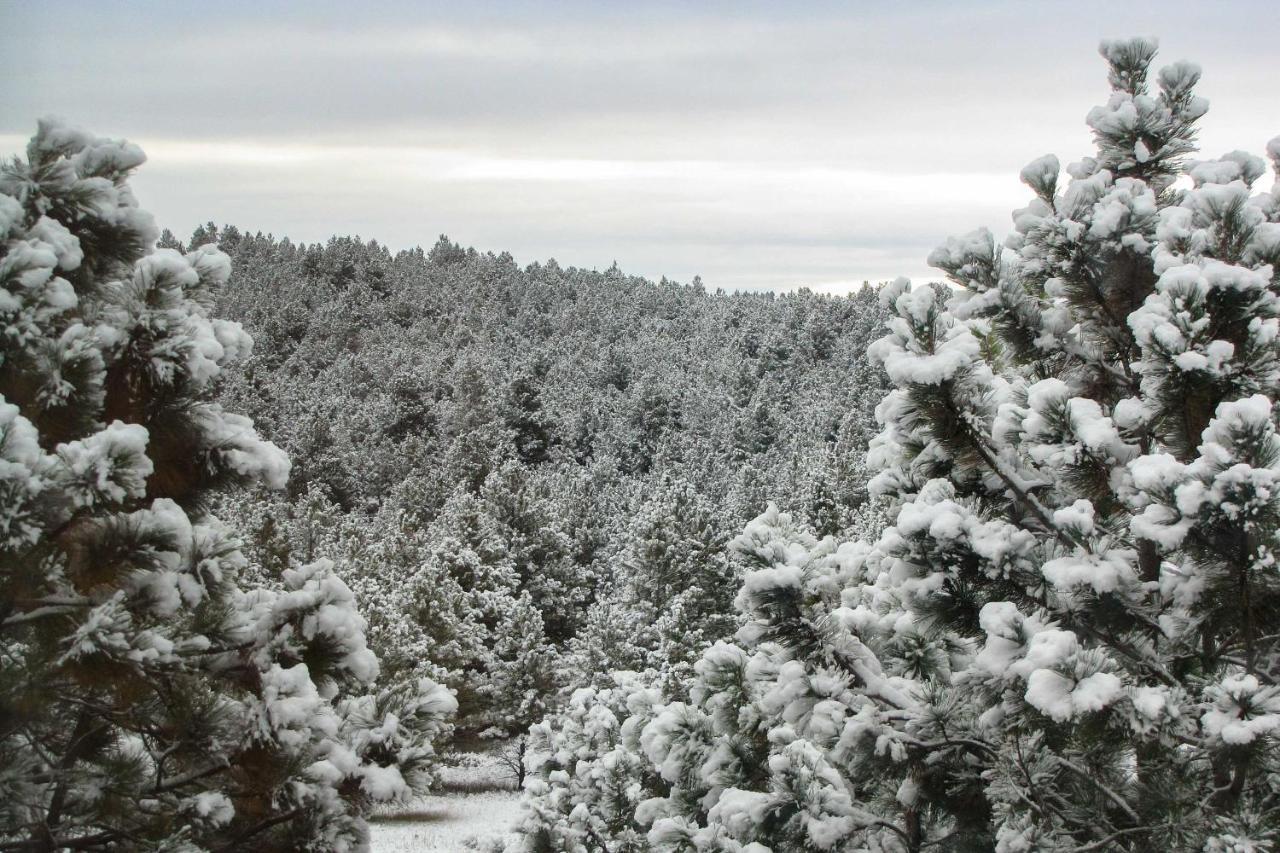 The Apartment Retreat Near Mount Rushmore Hermosa Екстериор снимка